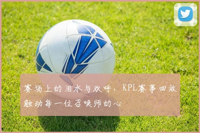 赛场上的泪水与欢呼，KPL赛事回放触动每一位召唤师的心