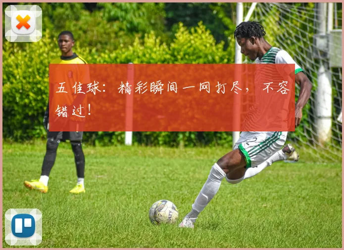 五佳球：精彩瞬间一网打尽，不容错过！