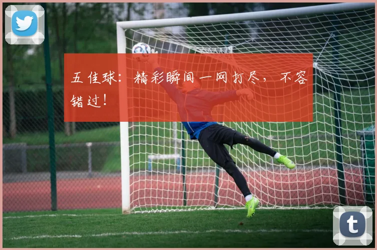 五佳球:精彩瞬间一网打尽,不容错过!