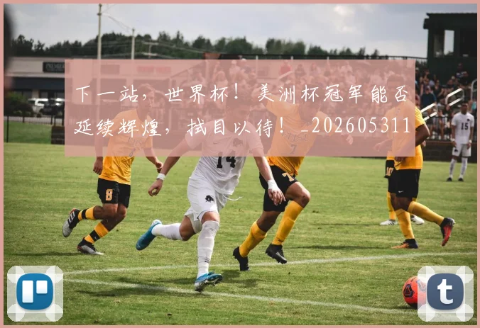 下一站，世界杯！美洲杯冠军能否延续辉煌，拭目以待！_20260531151134