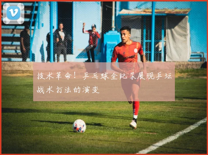 技术革命！乒乓球全纪录展现乒坛战术打法的演变